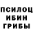 Псилоцибиновые грибы MAGIC MUSHROOMS maker D