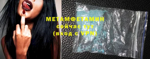 прущие грибы Снежногорск