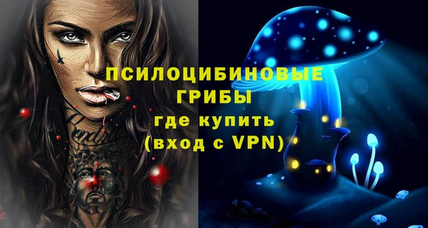 прущие грибы Снежногорск