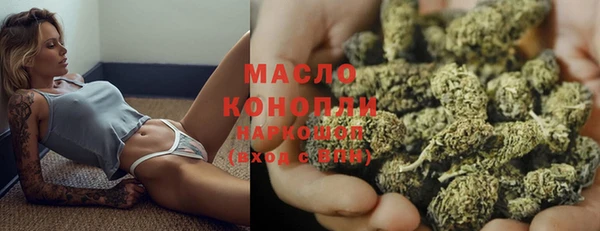 прущие грибы Снежногорск